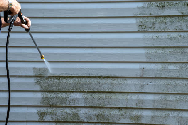 Best Attic Cleanout  in Towamensing Trails, PA